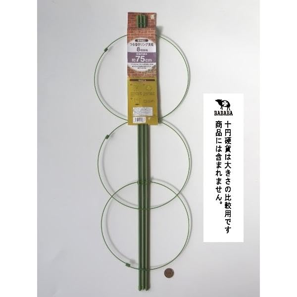 Amazon | オカザキ つる巻きリング支柱 8号鉢用 支柱の長さ75cm | 支柱