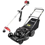 PowerSmart 22-Inch Self-Propelled Combo