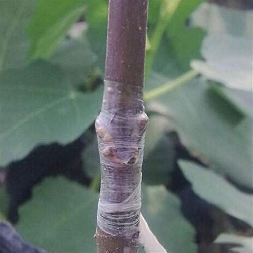 Tesoura de poda XWU Tesoura de jardinagem Aço inoxidável resistente Ferramenta vermelha Yardman