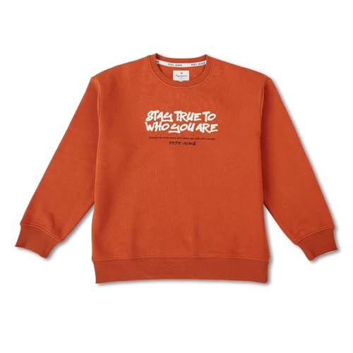 Image of Pepe Jeans Boys Sweatshirt