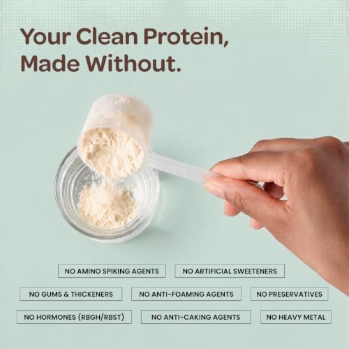 Image of Bigmuscles Nutrition Clean Yeast Protein Isolate (1kg, Unflavoured) | 33g Protein, 7g BCAA | Superior Absorption, Gut Friendly | PDCAAS -1 | Fermentation-Derived