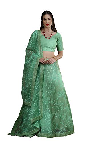 Divine International Trading Co Women's Bridal Dulhan Collection Indian Wedding Organza Lehenga Choli with Dupatta(Light Green, Free Size)