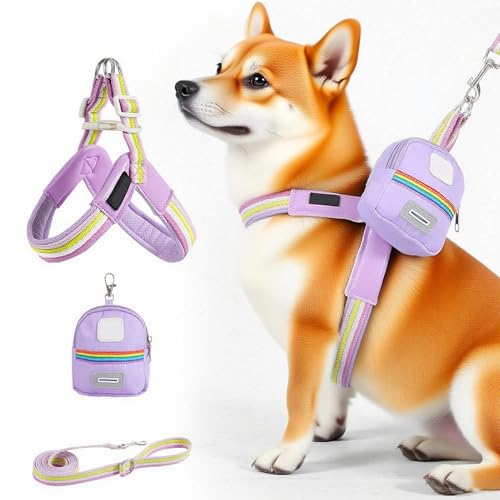 小型犬用ハーネス&リードセット | 調整可能ベスト型犬用ハーネス,トレーニング 散歩 アウトドア用 収納付き 快適設計
