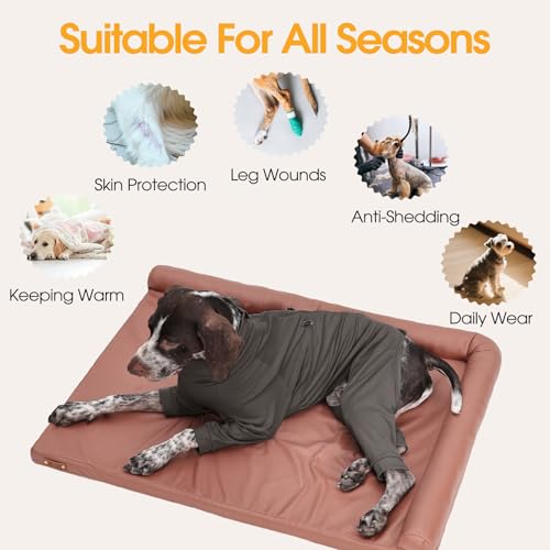 Image of Adjustable Recovery Suit for Small Dogs, Dog Pajamas, Grey, S