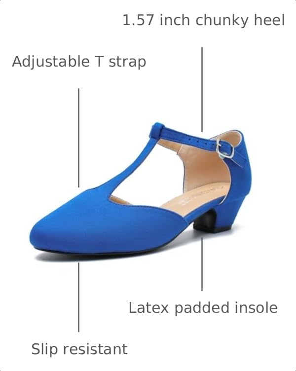Image of MAIERNISI JESSI Women's T-Strap Mary Jane Pumps, Low Block Heel, Closed Toe, Buckle Ankle Strap