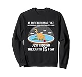 Funny Cat Flat Earth Theory Horizon Cosmology