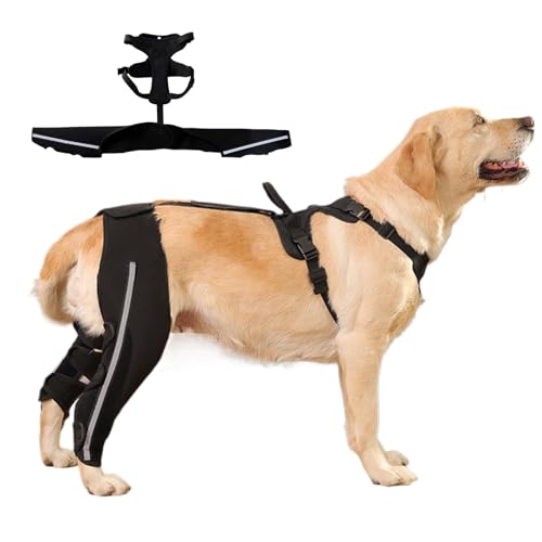 Férula de rodilla para perro, arnés de apoyo ajustable antideslizante con correa reflectante, arnés de apoyo transpirable para perro, para ancianos, discapacitados, artrosis,