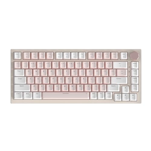 KUGEKI AK82 メカニカルキーボード ゲーミングキーボード テンキーなし Bluetooth/2.4Gワイヤレス/USB-C有線 ガスケット構造 RGBバックライト MAC・WIN 75%テンキーレス ABS 87キー 2000mAh 英語配列 オ