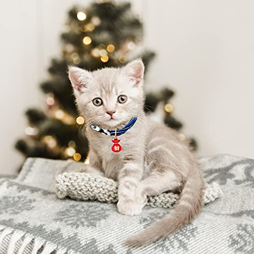Collier chat bleu réglable : ne perdez plus votre chat dans la maison - 6