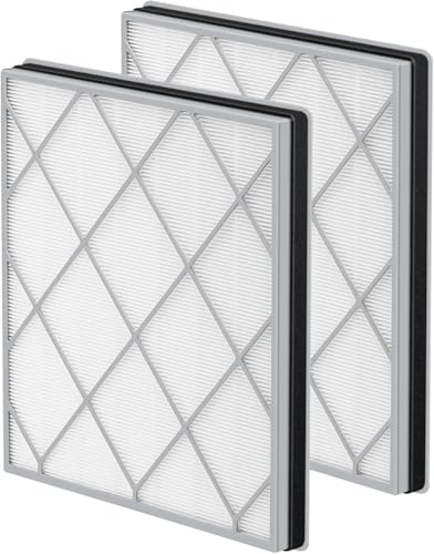 HE401 Filter Replacement 2 Pack