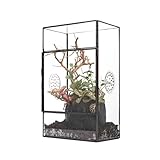 NCYP Terrario Rectangular de Vidrio con Puerta Lateral y Tres Orificios de ventilación Hecho a Mano, terrario geométrico Negro para Insectos pequeños, decoración del jardín del hogar (Solo terrario)