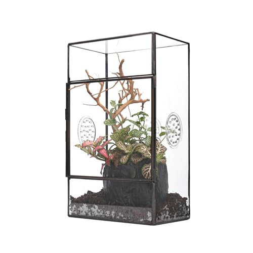 NCYP Terrario Rectangular de Vidrio