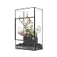 Ncyp Terrarium