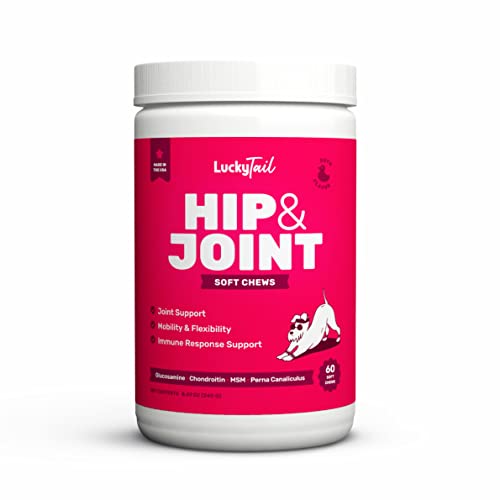 LuckyTail PRO Formula Hip&Joint Supplement with MSM (Duck Flavored) 60 Soft Chews for Dogs - 2X The Active Ingredients, Made from 100% Naturally Sourced Nutrients