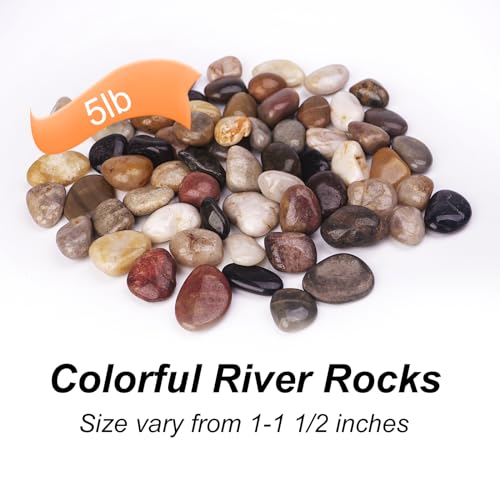 Image of Pulovin 5 Pound Decorative Rocks for Planters, 1 inch- 1 1 /2 inch, Pebbles for Indoor Plants, Vases, Polished Stones for Garden and DIY Decor