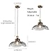DLCL Pendant Light Fixtures 12.99