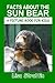 Facts About the Sun Bear (A Picture Book For Kids)
