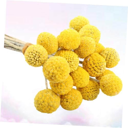Balls de Flores Secas para Decoración 30 Piezas miniatura 7