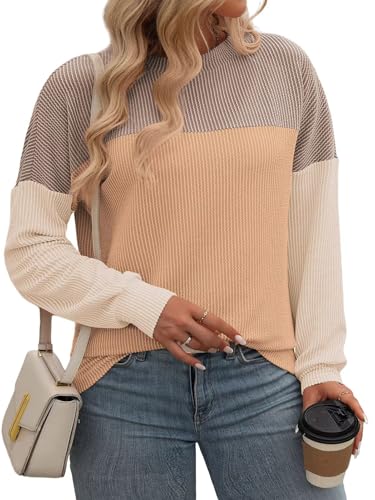 Image of DOLNINE Plus Size Tops for Women Long Sleeve Color Block Ribbed Knit Tunic