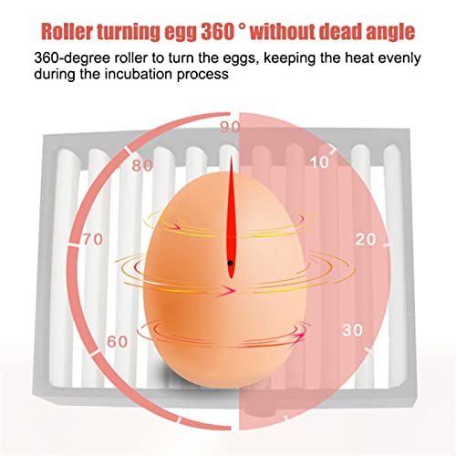 Inkubator für Eier Ente für 30 Eier Vollautomatische Digitale Brutmaschine für Geflügel mit automatisch drehender… – Bild 6