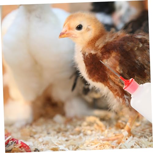 10 Conjuntos Vacinação de frango suprimentos para cuidados com aves suprimentos para galinhas deixan