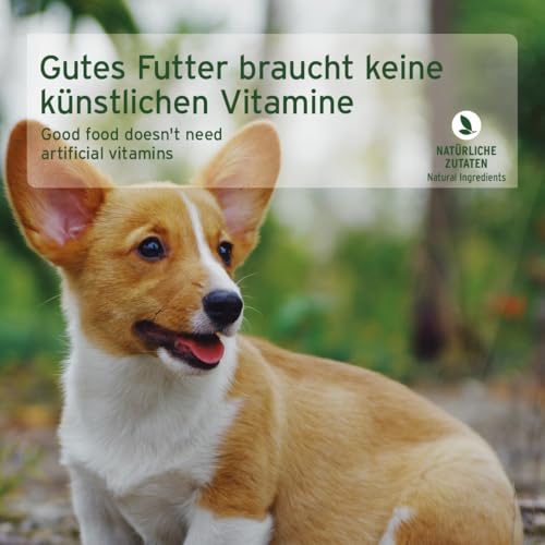AniForte Hundefutter Nass Junior Huhn 6 x 400g – Natürliches Nassfutter für Welpen & Junghunde, hoher Fleischanteil, Premium Welpennassfutter getreidefrei