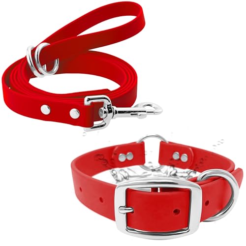 Regal Dog Products Waterproof Dog Collar, Nickel Double, Large Red & Leash