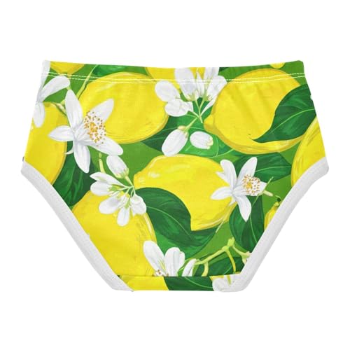 Yellow Limes Lemons Floral Green Girls Underwear Toddlers 2t Cotton Little Girl Panties Colorful Briefs Kids Undies2