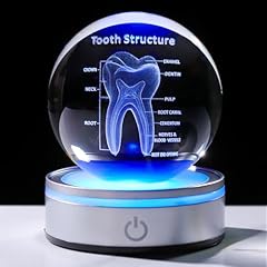 Tooth