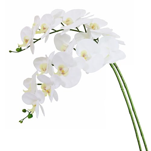 Htmeing 38 Inch Artificial Phalaenopsis Flowers Branches Real Touch (Not Silk) Orchids Flowers for Home Office Wedding Decoration Pack of 2 (White)