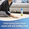 BISSELL Heavy Traffic Carpet Foam, Gain, 22oz (Pack of 4), 14399