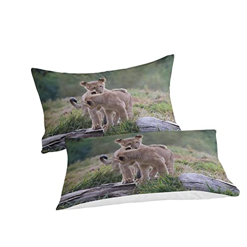 Ensemble de housse de couette lion avec taies d'oreiller lit double 2P