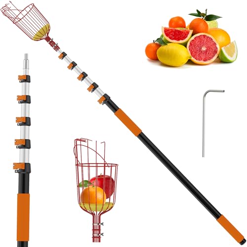 TONYINGO 30FT Reach Fruit Picker with Basket Telescoping Aluminum Pole 5-24FT Dual Flip-Lock & Screw Fixing Design for Apple Orange Mango Avocado Lemon Picking