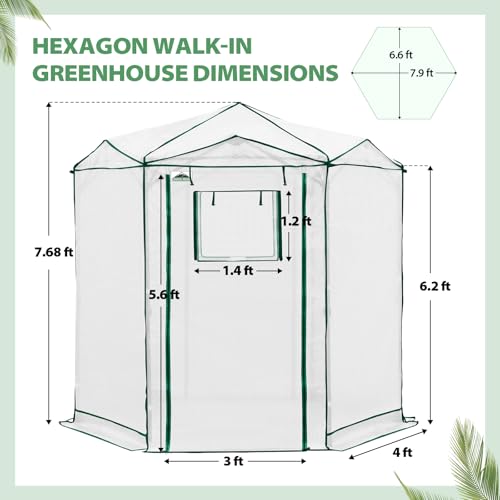 Image of EAGLE PEAK 6.6x6.6 Easy Setup Pop Up Greenhouse, Hexagon, Clear /White