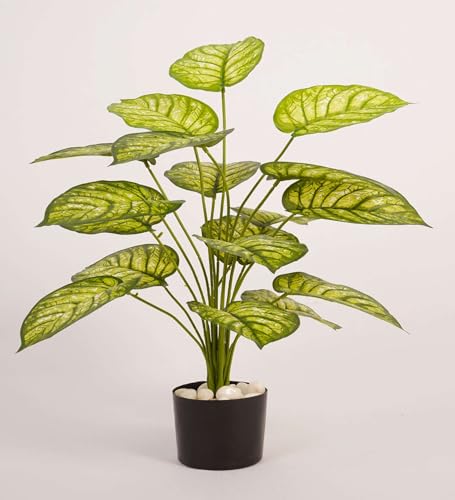 Image of ARICK Decor 2.1Ft Artificial Dieffenbachia Plant with 18 Leaves, 65cm Tall Faux Variegated Tropical Dumb Cane in Black Pot, Realistic Large Silk Leaf Potted Tree for Home, Office & Interior Styling