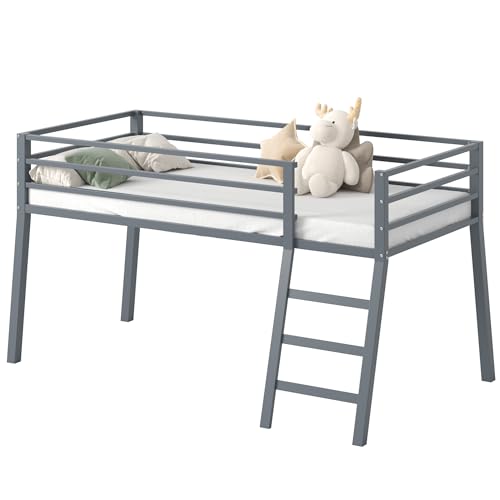 Lutown-Teen Low Metal Twin Loft Bed with Ladder and Guardrail for Kids or Teens, Space Saving Loft Bed Twin Size for Small Bedroom, Grey