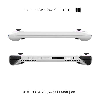 Amazon.com: HIDevolution ASUS ROG Ally RC71L 7