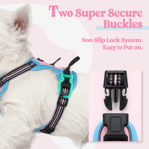 Image of rabbitgoo Dog Harness No Pull with 2 Leash Clips, Adjustable Soft Padded, Reflective Oxford No Choke Pet Vest with Easy Control Handle for Puppy, Pink & Blue, XS