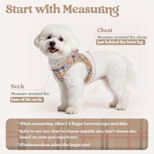 Image of rabbitgoo Dog Harness Small Sized and Leash Set, Step-in Puppy Pet Vest