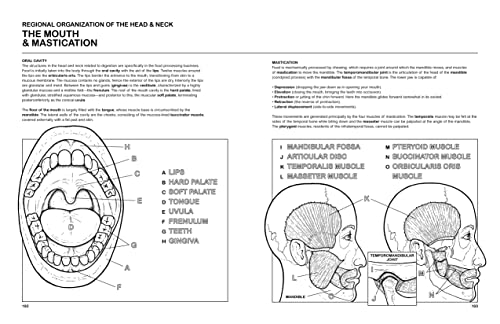The Human Body Coloring Book: From Cells to Systems and Beyond (Coloring Concepts) - Image 5