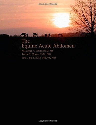 Equine Acute Abdomen