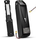 VISET LI Ebike Battery 48V20AH Scooter Lithium Battery Pack with 40A BMS for 200W-2000W Electric Bikes and Other Motor, Safe Lock, Led Indicator Light, USB Port