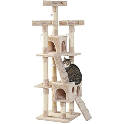 milo and misty scratching post