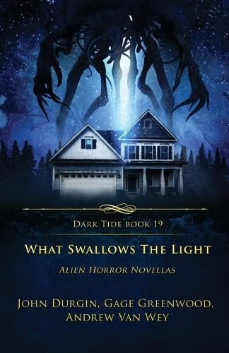 Cover of What Swallows the Light