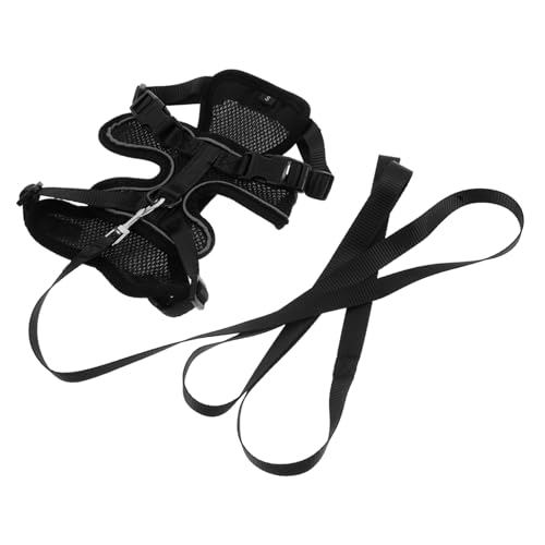 CVUTOVO �L�p �x�X�g �y�ʒ��߉\�ȃE�T�M �b�g�Ή� �L���q�������l�b�N