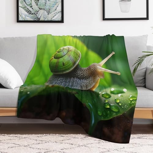 Manta de franela para sofá ligera y lavable de caracol 130x150cm 3