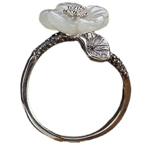 XIALON VRw`AŐ@ NGCeBu ߉\ O  g fB[X t@bV WG[