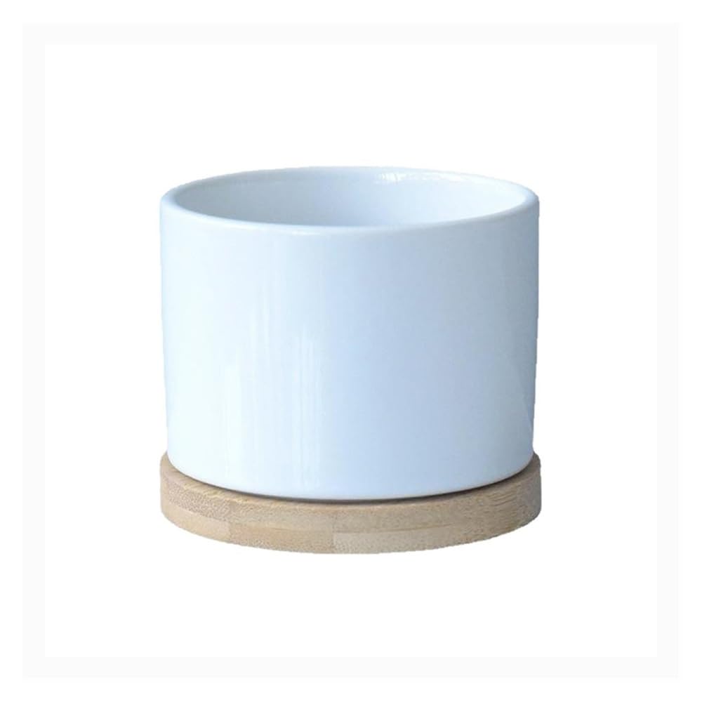 Doniczki Doniczki ceramiczne w kolorze czystej bieli z drewnianą tacą, rośliny kwiatowe, kwiaty, zielona uprawa, doniczki