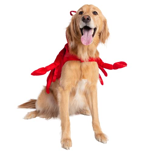 Pet Krewe Dog Lobster Costume | Large Fish Pet Costume for Dogs 1st Birthday National Cat Day & Celebrations | Halloween Outfit for Small Medium Large & XL Cats & Dogs