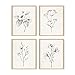 Haus and Hues Vintage Botanical Prints - Set of 4 Rustic Wall Art for Bedroom, Bathroom, Living Room (8x10, Beige Framed)